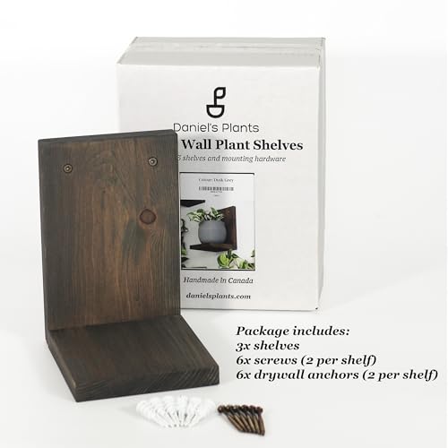 Daniel's Plants 3-Pack Mid-Century Modern L-Shaped Floating Shelves | Solid Wood Plant Ledge | Wall Mounted Shelf Kit (Prairie Sand) - color: Prairie Sand
