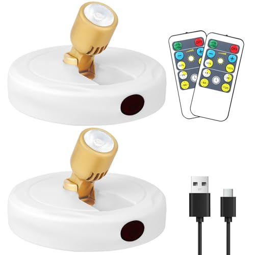 Rechargeable Spotlight, Battery Operated Picture Lights with Remote - color: chargeable White+G