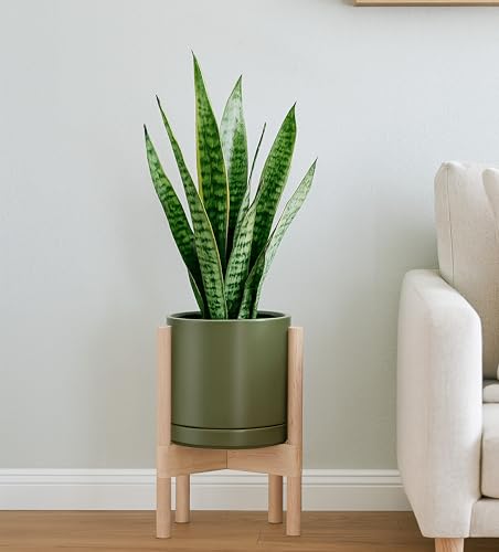 D'vine Dev Ceramic Pot with Natural Wood Stand, Olive, 8 in, 55-B-N-J - color: Olive Pot + Natural Stand, size: 8 Inch