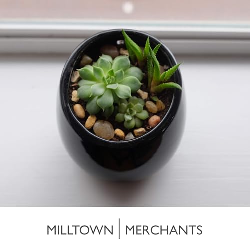 Succulent Wall Planters - Wall Vases - Black Ceramic Wall Mounted Planters - Succulent Plant Pots - Hanging Vases for Living Wall (2 Pack/Modern/Black) - color: Small Black Modern