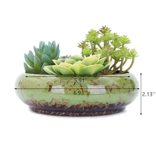 VanEnjoy 7.3 inch Round Large Shallow Succulent Ceramic Glazed Planter Pots with Drainage Hole, Bonsai Pots Garden Decorative Cactus Stand Flower Container (Green) - color: Green
