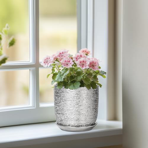 Ceramic Plant Pot 5 Inch, Indoor Planter with Drainage, Silver - color: Silver, size: 5.3 Inch