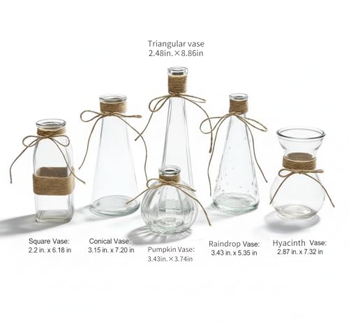 Glass Bud Vases Set of 6 for Flowers, Clear Small Vases with Jute Rope