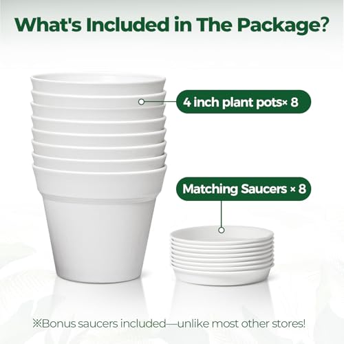 T4U Small Plant Pots 4 Inch 8 Pack, Plastic Indoor Flower Pots Saucer White - color: White, size: 4 inch