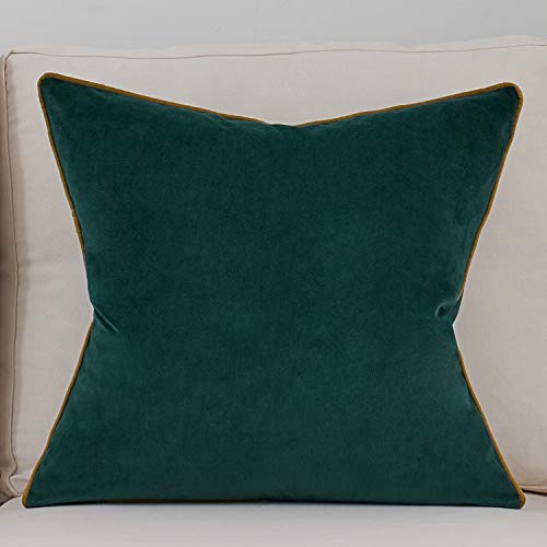 Avigers Throw Pillow Cover 20 x 20 Inch, Green, Velvet, Hidden Zipper - color: Green, size: 20" x 20" (Pack of 1)