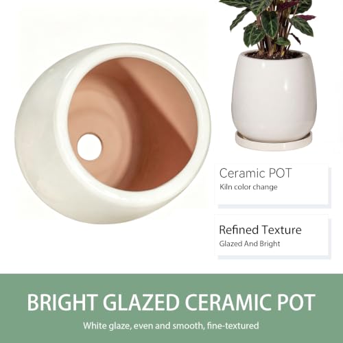 10.3 Inch Ceramic Glaze Plant Pot with Saucer, Flower Pots with Drainage Hole Mesh Net(Hemp-Gray Dot) - color: Hemp Gray Dot