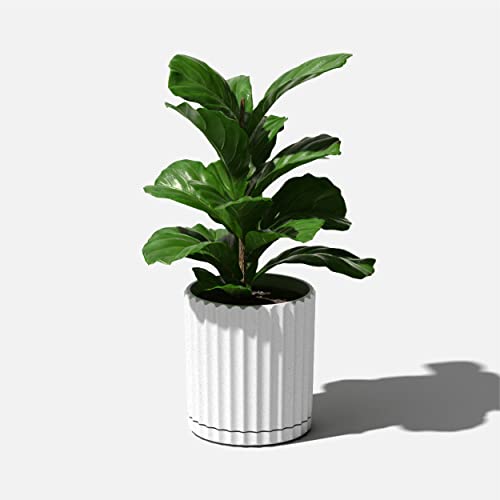 Veradek Demi Series Demi 6" Planter w/Tray, White - color: White, size: 6 inch