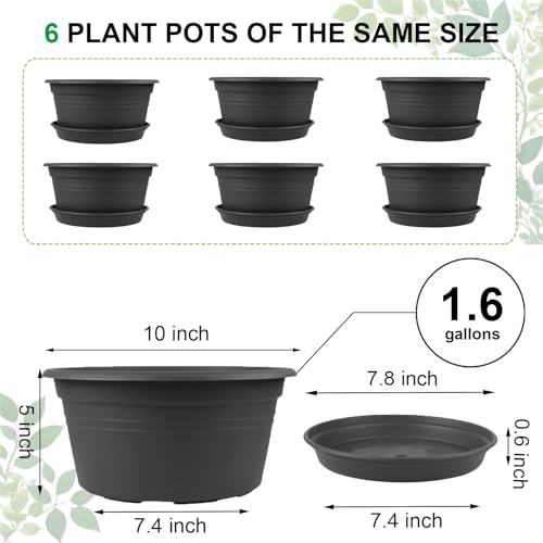 6 Pack 10 inch Plant Pot, Plastic Plant Pots with Drainage Holes, Dark Gray - color: Dark Gray, size: 10 Inch - 6Pack