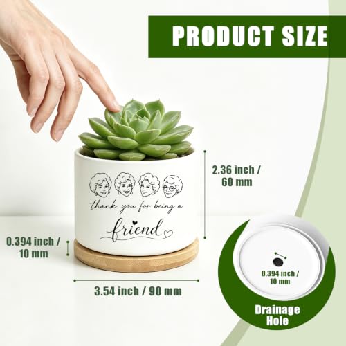 Ceramic Succulent Pots, Small Flower Planter with Bamboo Base, No Plants - color: Friends
