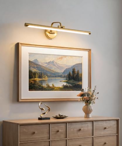 Hardwired Picture Light for Wall, 24 Inch Modern Brass Dimmable Frame Light with Adjustable Swing Arm, 3CCT LED Art Display Light for Paintings,120 Volts Gallery Wall Light, Hallway Vanity Light, 8W - color: Gold, size: 24 inches