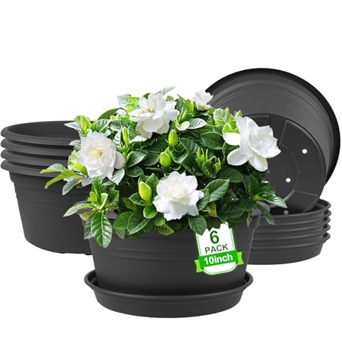 6 Pack 10 inch Plant Pot, Plastic Plant Pots with Drainage Holes, Dark Gray - color: Dark Gray, size: 10 Inch - 6Pack