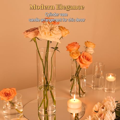 TBWIND 12pcs 12 Inch Clear Glass Cylinder Vases for Centerpieces - size: 12 Pack 12 Inch - Clear