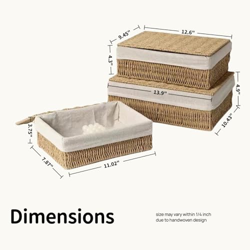 Large Storage Baskets with Lid Set of 3, Woven Bins with Liner - size: Large with Lids