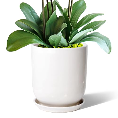 8in Plant Pot,Ceramic Plant pots,Ceramic Planter for Indoor Plants Outdoor,Mid-Century Modern Home Decor, Modern Flower Pot, Large Plant Pot with Drainage Hole and Saucer - size: 8IN