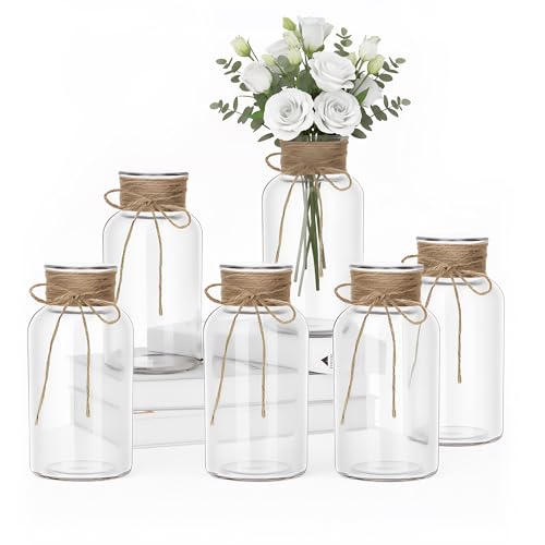 6Pcs Mason Jars for Centerpiece Glass Flower Bud Vase Transparent Vases - color: Transparent