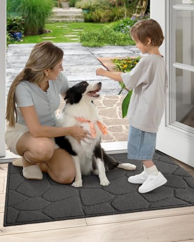 DEXI Front Door Mat Indoor Entrance, 24x36 Entryway Doormat, Pebble Grey - color: Pebble Grey, size: 24" X 36" (Rectangular)
