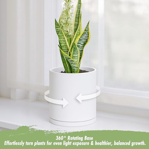 D'vine Dev Double-Layer Planter Set – Rotating Plastic Cachepot with Clear Inner Liner for Root Health, Perfect for Indoor Plants, 6.5", White, 73-U-A-2