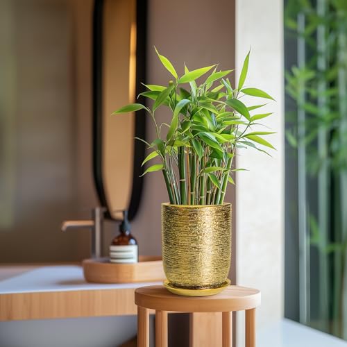 Indoor Plant Pot 8 Inch - Ceramic Planter for Indoor Outdoor Flowers, Round Modern Flower Pot with Drainage Hole and Saucer, Gifts for Plants Lovers, Garden Room Decor, Gold - color: Golden, size: 8 Inch