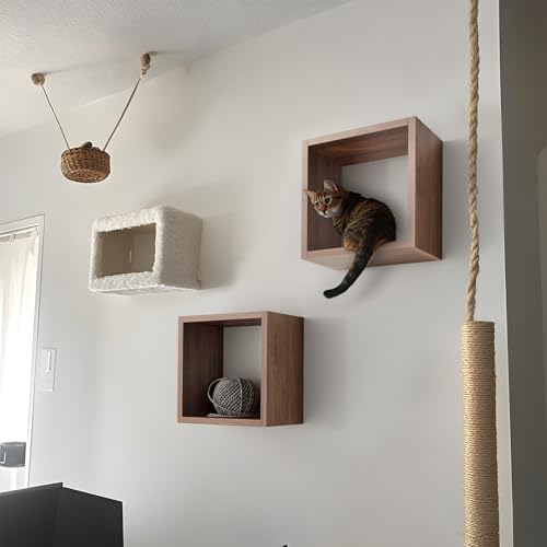 Kaboon Cube Floating Shelves Set2, Display Shelves Wall Mount 7.75" D x 12.5" W x 12.5" H, (Walnut, Square 2 Cubes) - color: Dark Walnut, size: Square-Set2