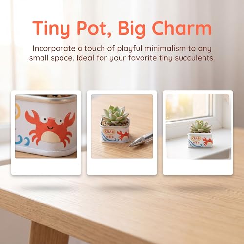 Cloud-Shaped Small Succulent Planters, 3.4''Dog Cute Plant Pots with Drainage Holes Funny Mini Resin Flower Pots for Indoor Outdoor Home Office Gifts (Mini D) - style: Mini D