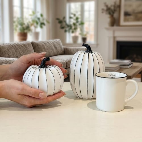 FESTGLOX White and Black Halloween Pumpkin Decor, Small Resin Pumpkin Set - color: White and Black-2pcs