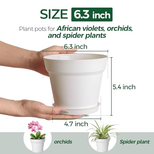 T4U Plant Pots Indoor 6 Inch 8 Pack, Plastic Flower Pots with Saucer White - color: White, size: 6 inch