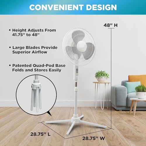 EZ-CHILL 16" Oscillating Pedestal Fan with Folding Base - Black - color: Black