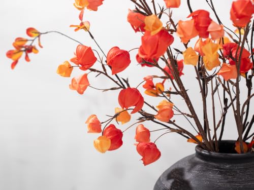 Fall Physalis Branches - 37" Faux Red Berry Stems, fake Flowers for Vase - color: 5pcs Physalis