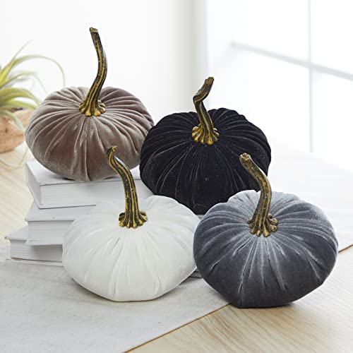 Your Heart's Content Velvet Pumpkin Set of 4 (Sm Gray Taupe Ivory Black) - color: Sm Gray Taupe Ivory Black