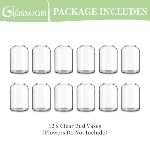 Glasseam Glass Bud Vases for Single Stem Flower, Small Clear Vase Set of 12 - size: S-12Pcs