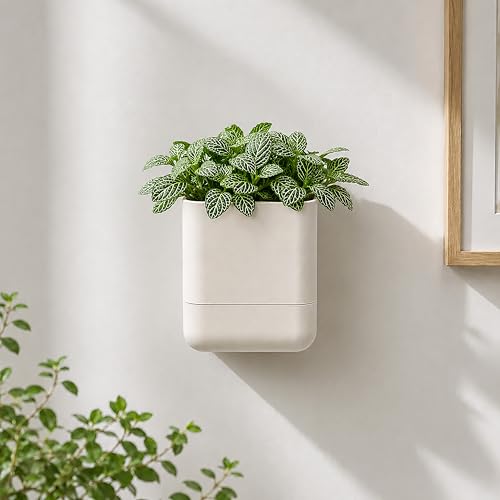 Phoenix Vine 3.5 Inch Wall Mounted Self-Watering Planter Pot for Indoor Houseplants and Herbs | Hanging Planter for Window Sills, Bathroom Walls, Home & Office Décor, Oatmeal, Set of 2, 01-A-G-2 - color: Oatmeal, size: 3.5" (2 Pack)