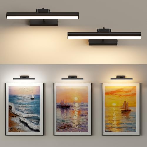 Picture Light for Wall, 4000mAh, 13.8 Inch, 2 Pack, Black - color: Black