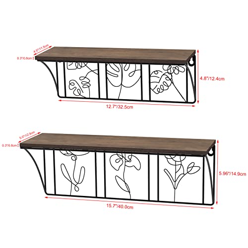 QUTREY Plant Wall Art Floating Shelves Set of 2, Minimalist Metal Abstract Decor Rustic Wooden Shelf for Living Room, Bedroom, Bathroom