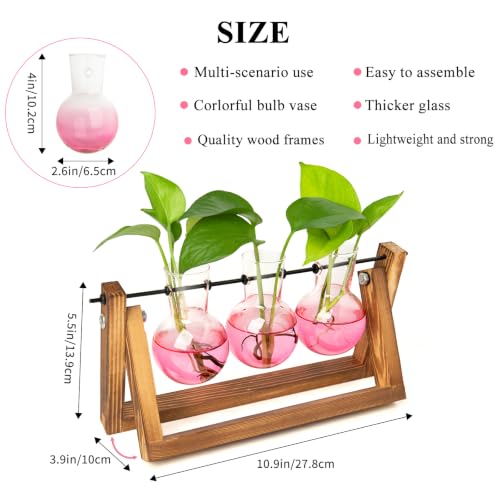 XXXFLOWER Plant Terrarium Kit with Wooden Stand 3 Gradient Pink Bulb Vases - color: Pink