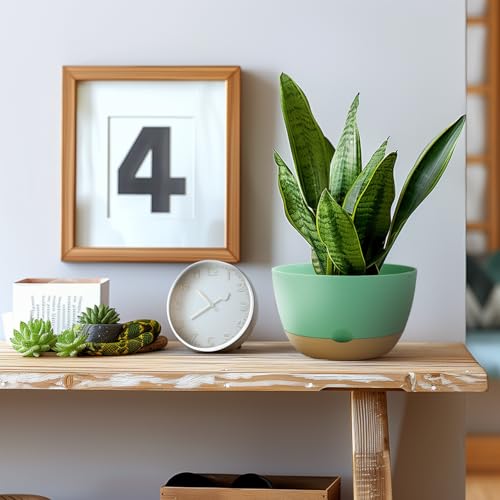 Koalaime 8/10/12 Inch Pots for Indoor Plants, Large Self Watering Planters with Drainage and Saucers, Plastic Outdoor Flower Pot, Set of 3, Green - color: Green