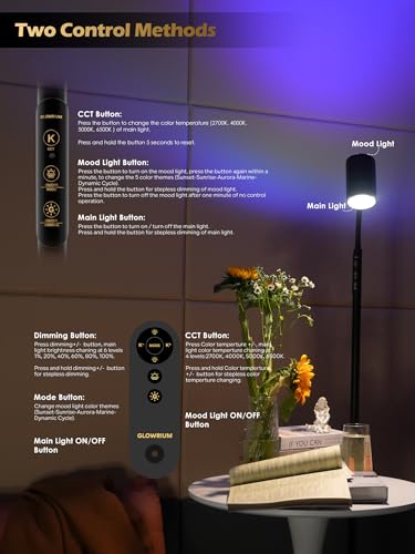GLOWRIUM 17W LED Reading Floor Lamp with Remote, 67" Dimmable Standing Lamp - style: 2-in-1 Lamp (H2)