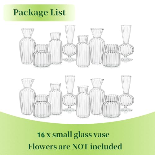 Mini Glass Vases for Centerpieces - Hewory Small Clear Bud Vase in Bulk, Cute Flower Vases Set for Wedding, Home Decoration, Table Decor (Clear, 16)
