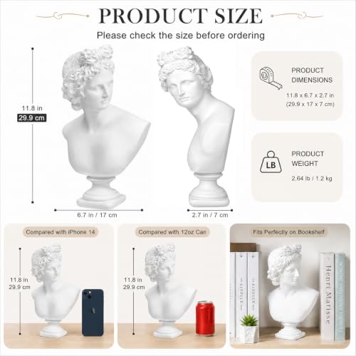 Norrclp 12.6in Greek Statue of Apollo, Classic Roman Head Bust - color: Apollo-12.6in