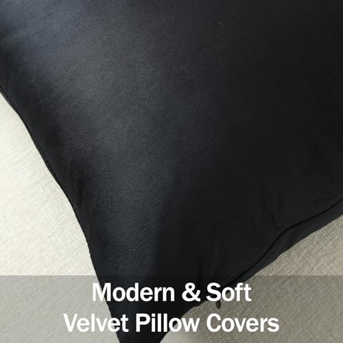 DEZENE Euro Sham Covers 24x24 Black: Pack of 2 Cozy Soft Velvet Square Modern Luxury Decorative Throw Pillow Cases for Sofa Couch Living Room Bed Home Decor - color: Caviar, size: 24" x 24" (Pack of 2)