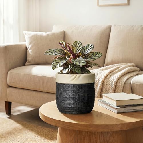 Ceramic Flower Pots, 6 Inch Pots for Plants, Round Planter, Black - color: Black, size: 6 Inch