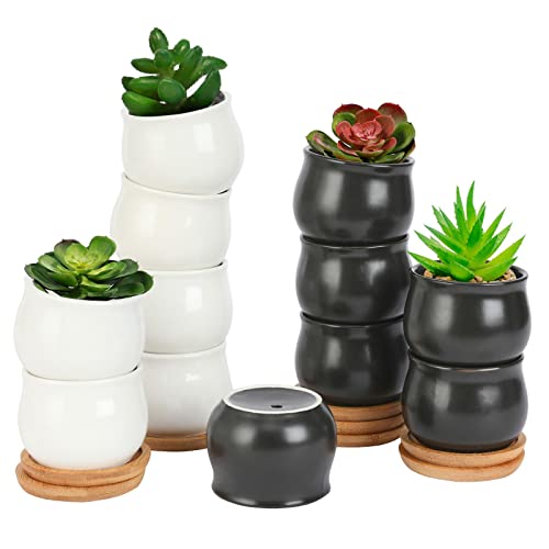 SHECIPIN 12 Pack Succulent Plant Pot, Mini 2.6 inch Ceramic Flower Planter Pot with Bamboo Tray, Small Pots for Plants, Plants Not Included (White, Black) - color: Black,white