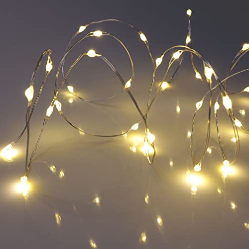 QBIS Warm White Christmas Lights Battery Operated, 40 Micro LEDs 6.5ft - size: 1PK-40 Warm White