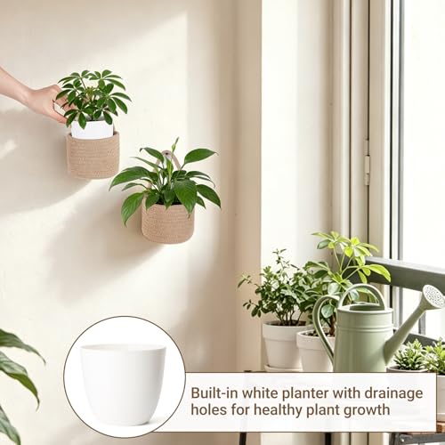 Dahey 2 Pcs Woven Wall Baskets with Plastic Wall Planters for Indoor Plants