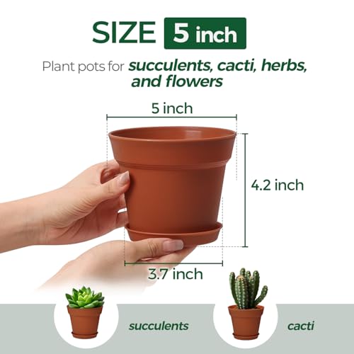 T4U Terracotta Pots for Plants 5 Inch with Saucer, Clay Flower Pot 8 Pack - color: Terracotta, size: 5 inch