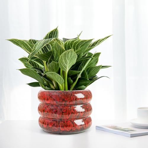 Ceramic 6 inch Plant Pot - Red Planter for Indoor Plants with Drainage Hole - color: Red-s