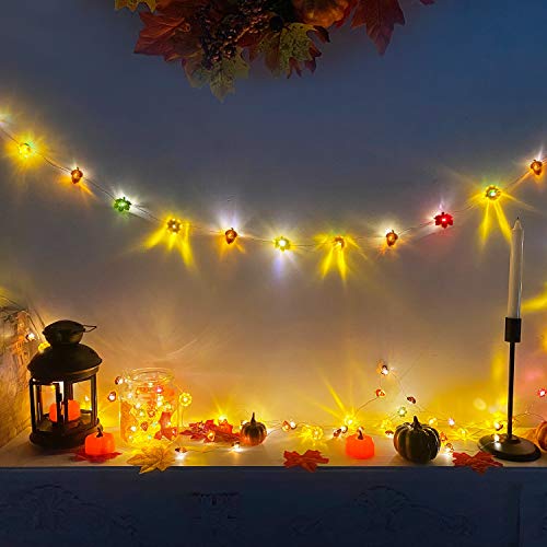 20LED/6.56Ft 3D Fall Lights Pumpkin Thanksgiving Fall Decorations for Home