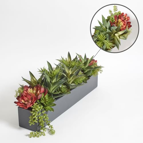 CG Hunter, Oblong Faux Succulent Arrangement, Grey, Home Decor - size: 27" Oblong Grey