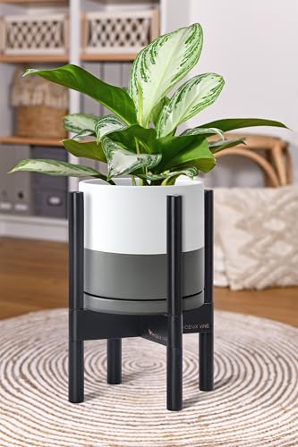 D'vine Dev Ceramic Pot with Ebony Wood Stand, White/Grey, 8 in, 55-B-M-6 - color: White/Grey Pot + Ebony Stand, size: 8 Inch