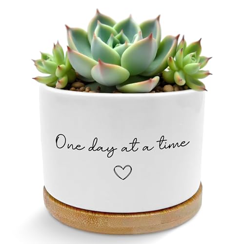 Inspirational Mental Health Gifts Plant Pots Planters - color: Style a -S