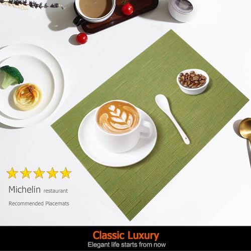 Green Vinyl Placemats Set of 6, Heat Resistant Table Placemats - color: Green